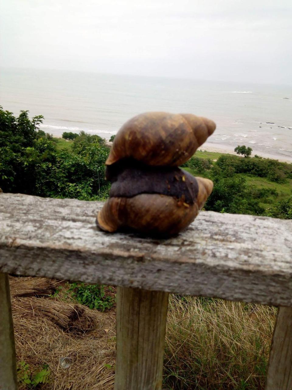 Abuesi Beach Resort Sekondi-Takoradi Bagian luar foto